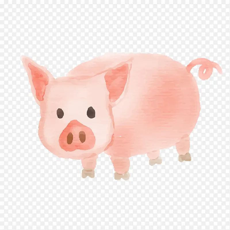 水彩手绘粉红色的小猪设计