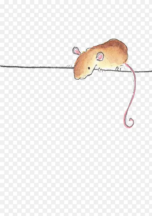老鼠