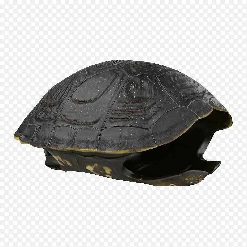黑色龟壳乌龟龟壳