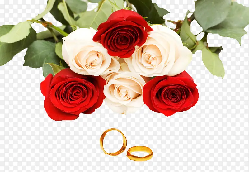 婚礼上的玫瑰花戒指