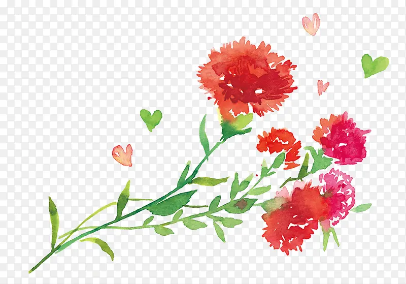 母亲节手绘水彩插画康乃馨花束