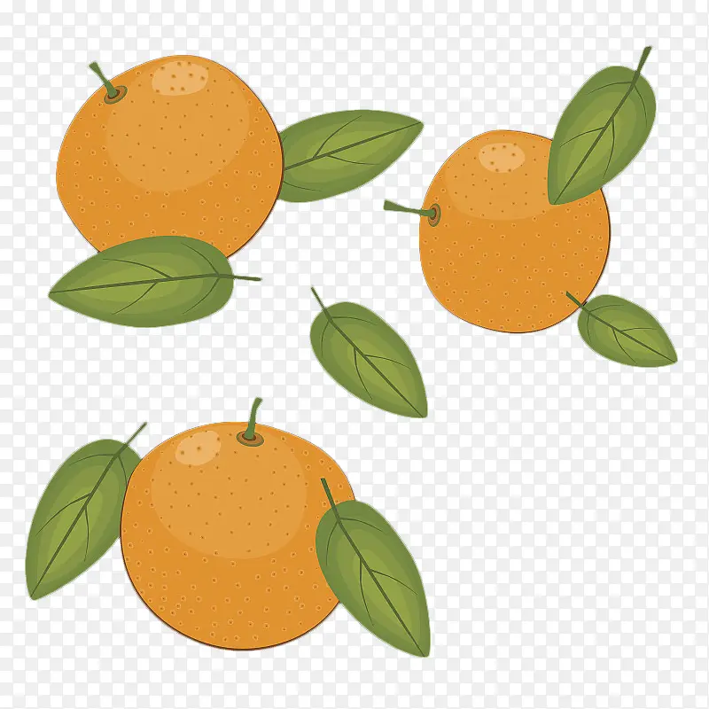 卡通三个香橙和叶子