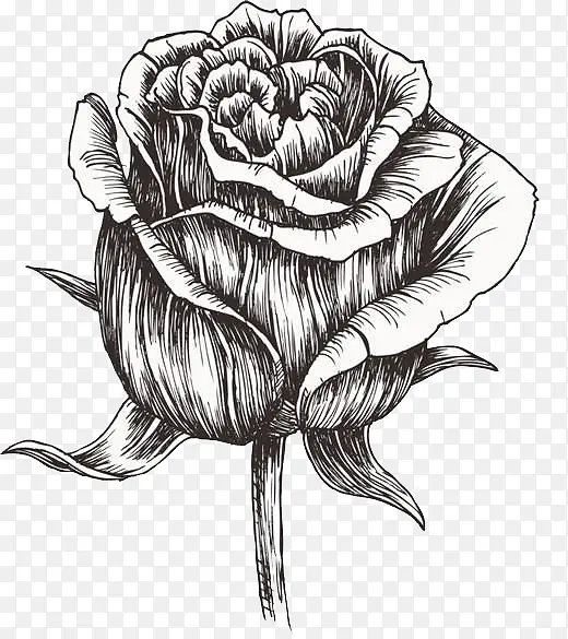 手绘黑色的玫瑰花线条
