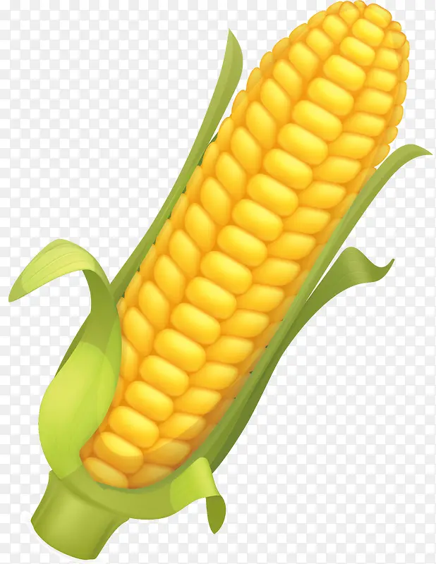 玉米png矢量元素