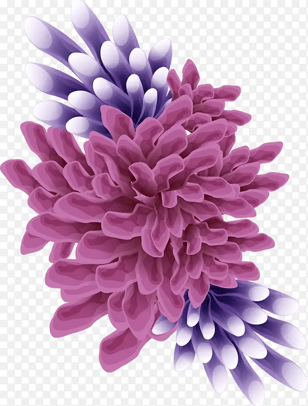 蓝紫海葵图片