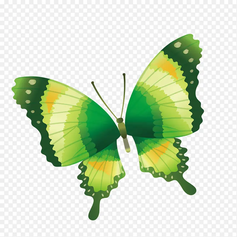 手绘绿色蝴蝶