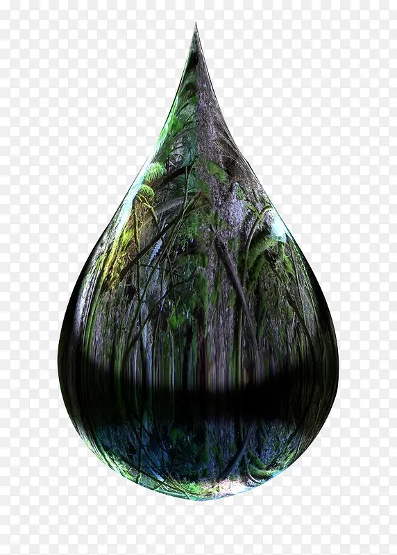 水滴里的大森林
