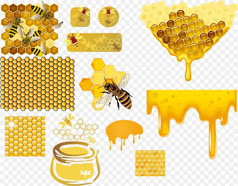 蜜蜂蜂蜜蜂窝矢量素材