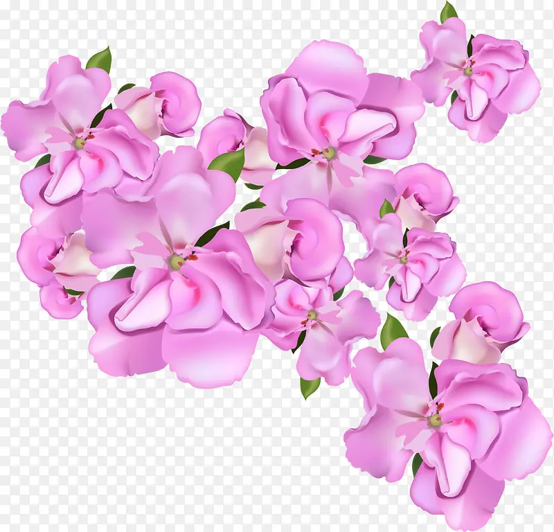 矢量粉色花