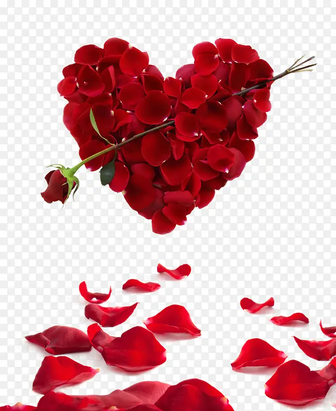 爱心玫瑰花瓣组合爱心植物