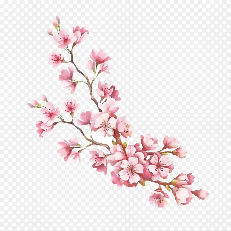 手绘水彩桃花枝装饰图案