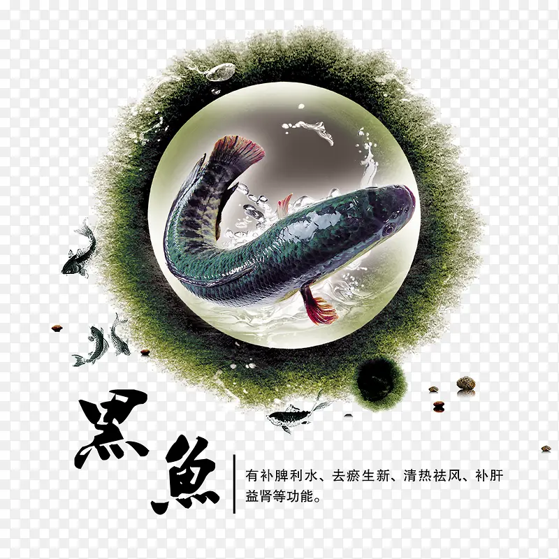 黑鱼美食海报psd