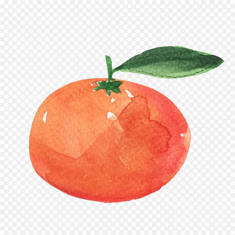 彩色水墨创意橙子食物元素
