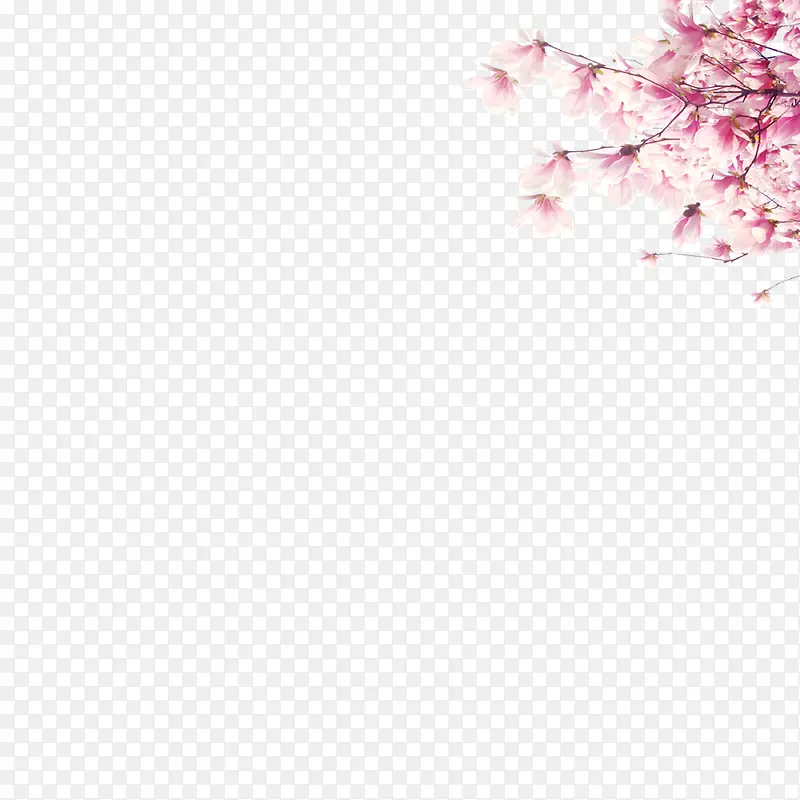 中国风浪漫粉红色桃花盛开素材