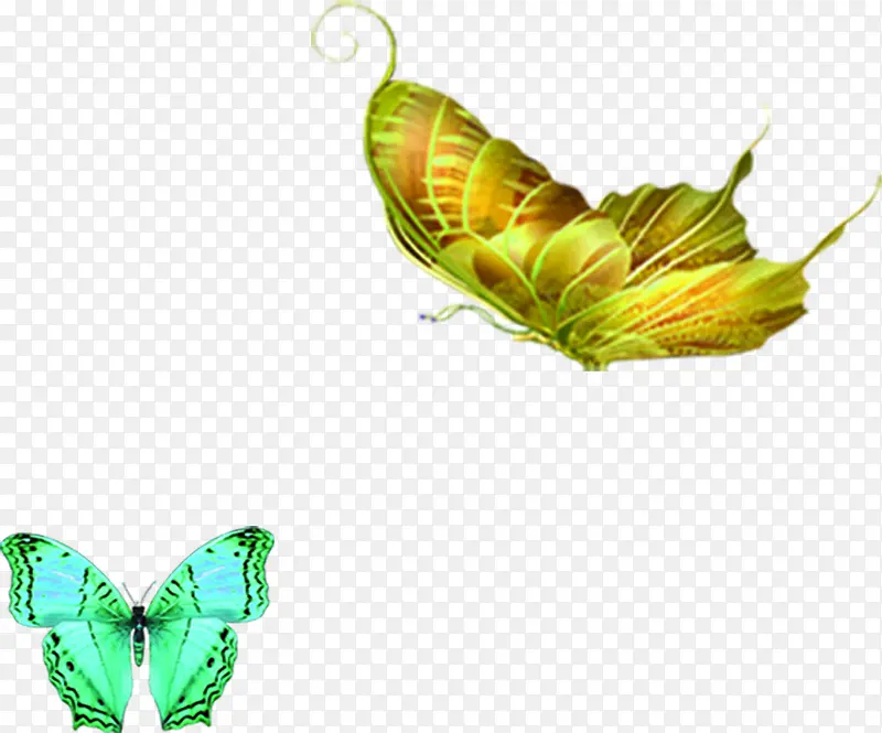空中飞舞的蝴蝶