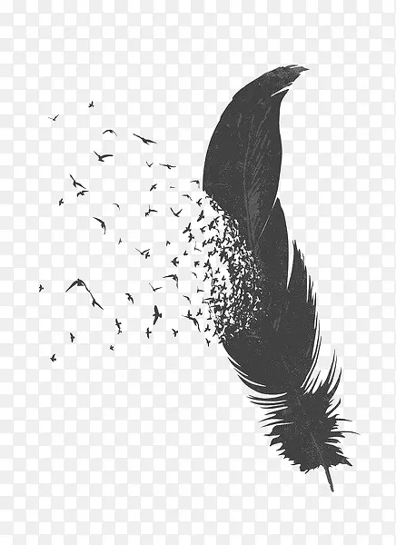 黑白色大雁羽毛图