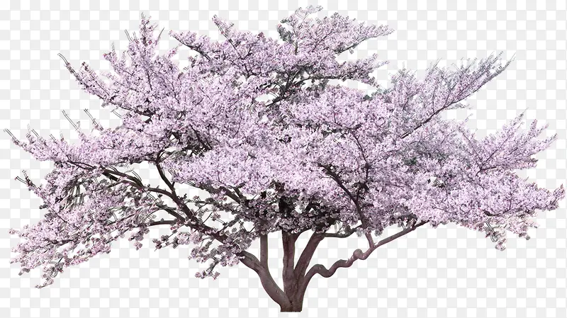 粉色唯美大树图案