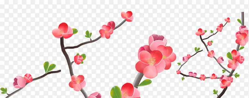 卡通手绘彩色梅花
