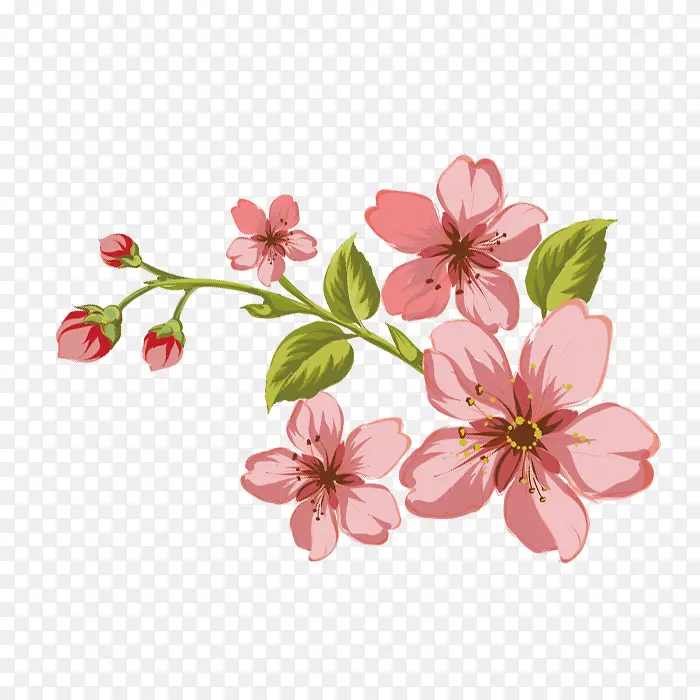 手绘漂亮的花