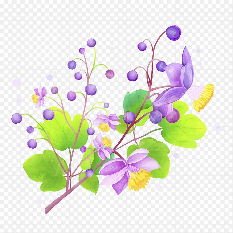 清新紫色鲜花插画