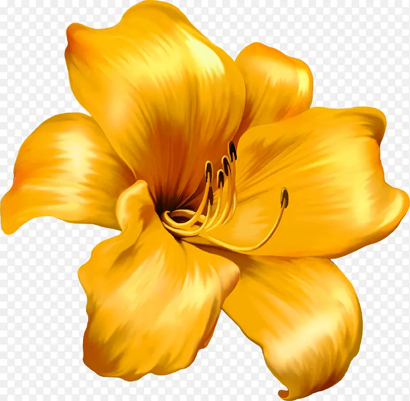 手绘金色花朵花瓣