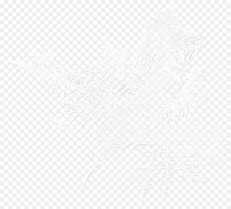 白色雪花