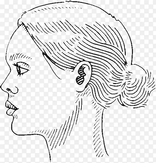侧脸女性脸部轮廓线条画