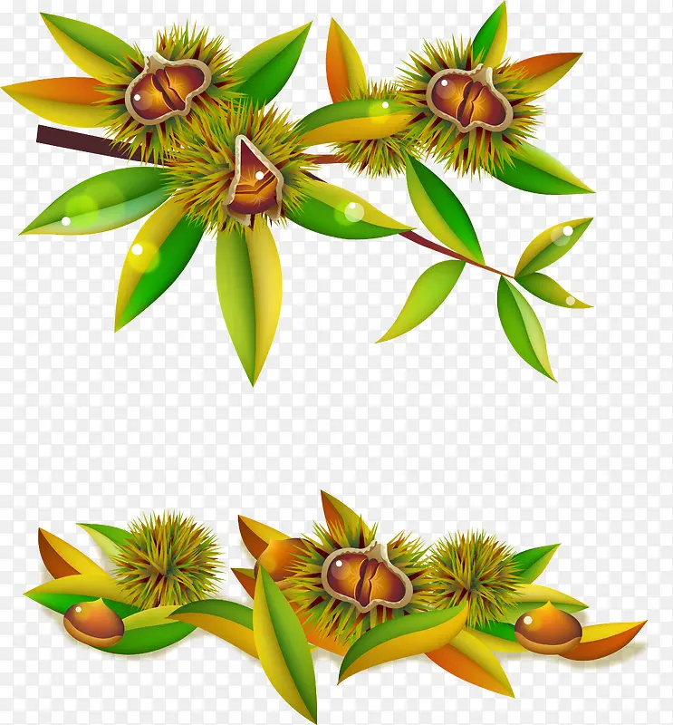 矢量栗子