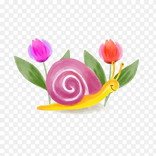 手绘水彩绘画蜗牛花卉