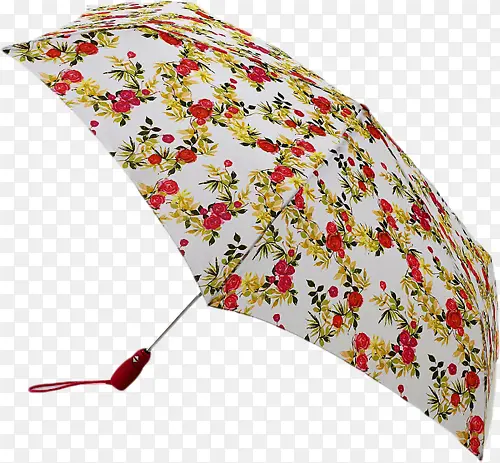 花朵的伞