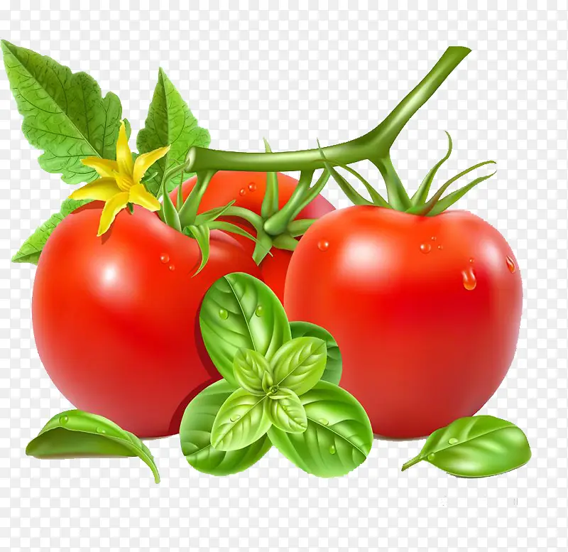 两个大番茄