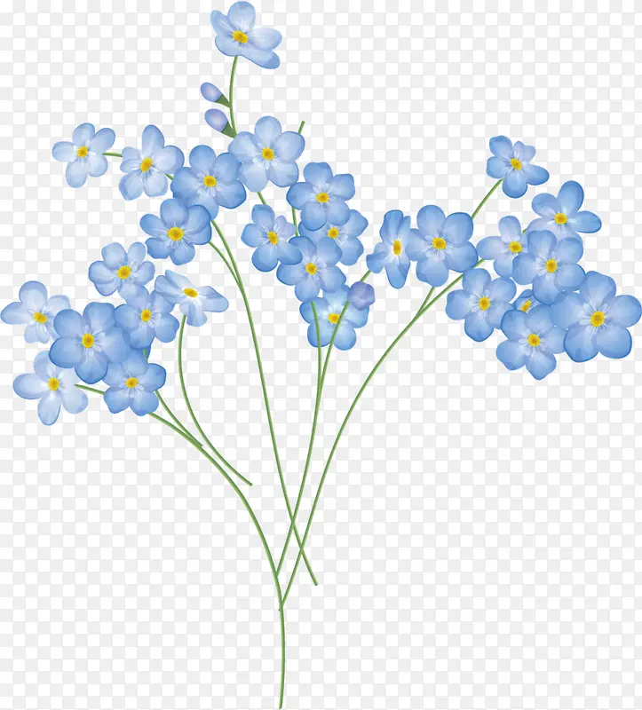 唯美蓝色花朵