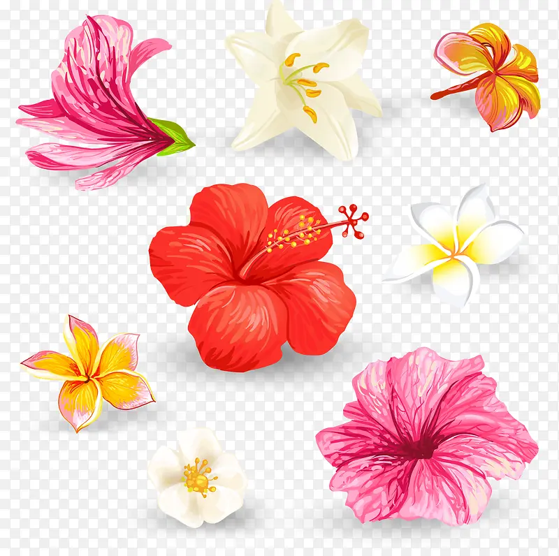 矢量手绘水彩装饰花朵