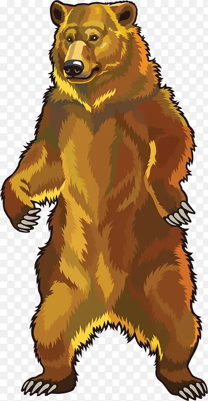 创意卡通棕熊装饰图案