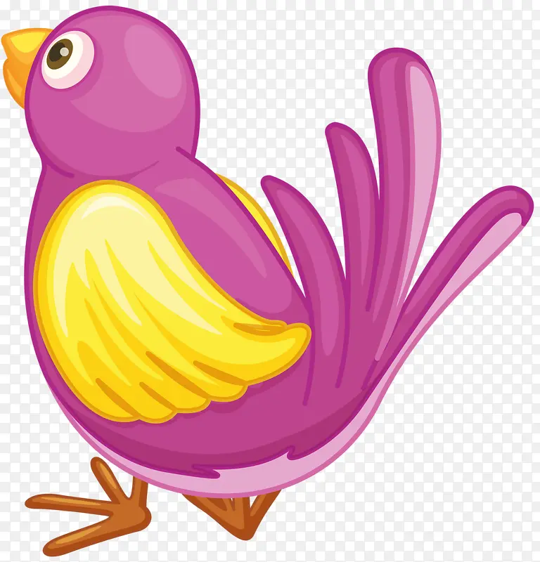 紫色喜鹊