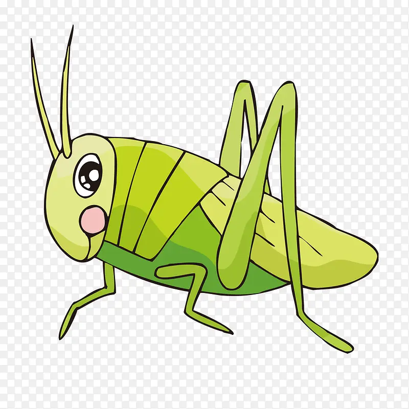 蟋蟀昆虫设计矢量图