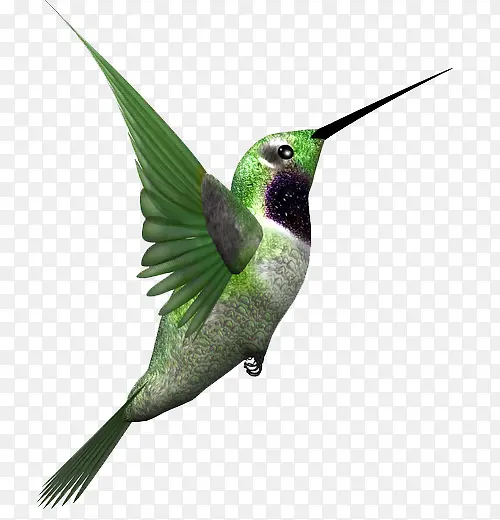 绿色羽毛卡通小鸟