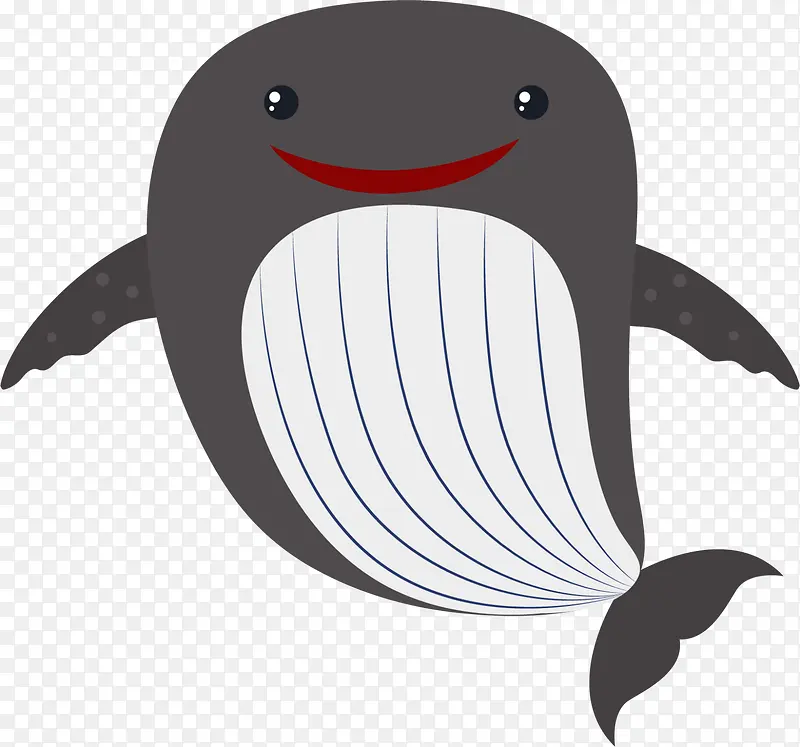 世界海洋日开心的须鲸