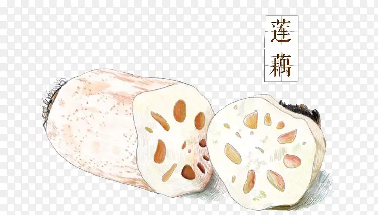 莲藕