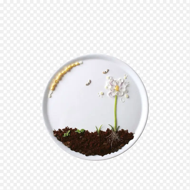 扎根土里的花朵食物摆拍素材