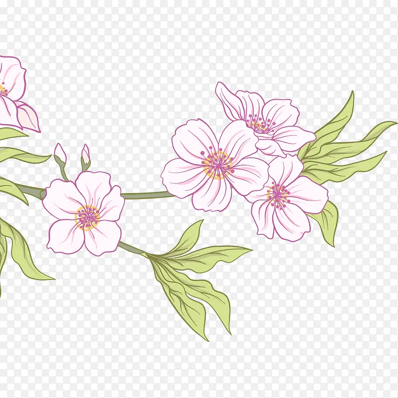 矢量手绘樱花花朵叶子插画