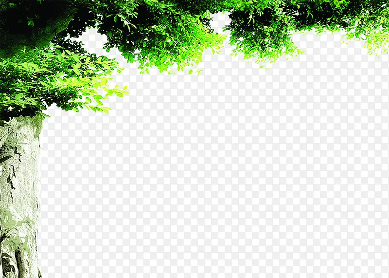 绿色春天大树美景风光PNG图片素材下载_图片编号ydvdmwey-免抠素材网