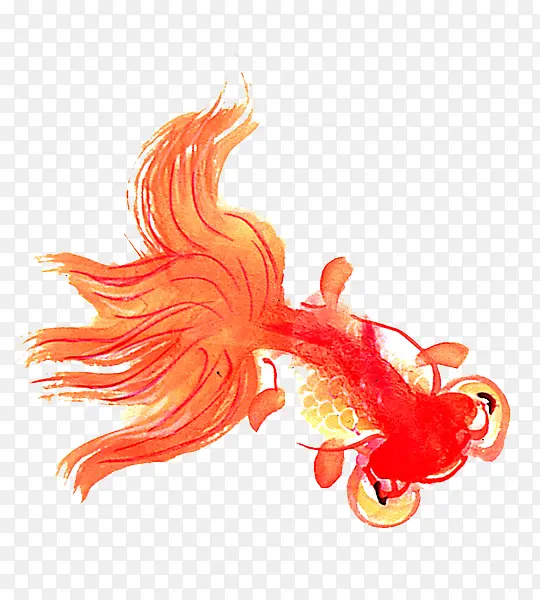 水彩红色金鱼
