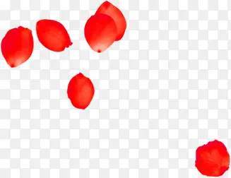 红色玫瑰花瓣散落漂浮