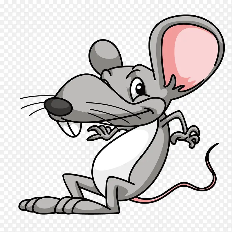 灰色老鼠
