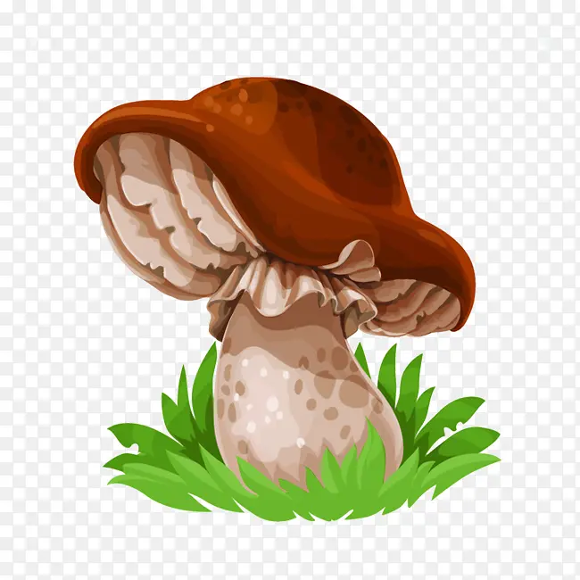 棕色卡通简约蘑菇头