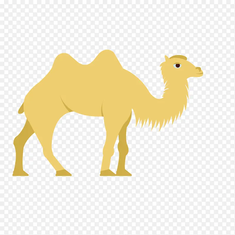 矢量卡通骆驼