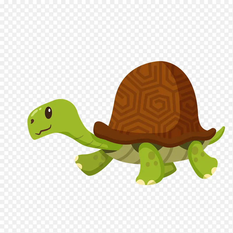绿色乌龟矢量图装饰