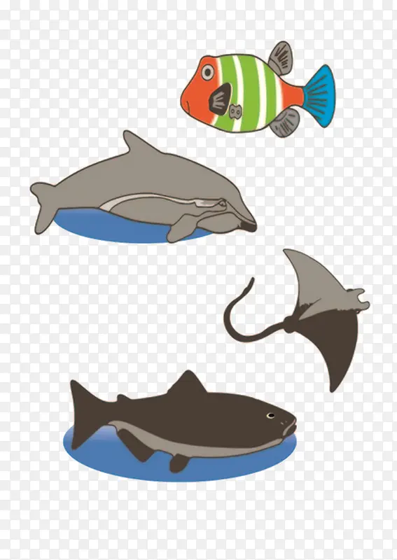 海洋动物
