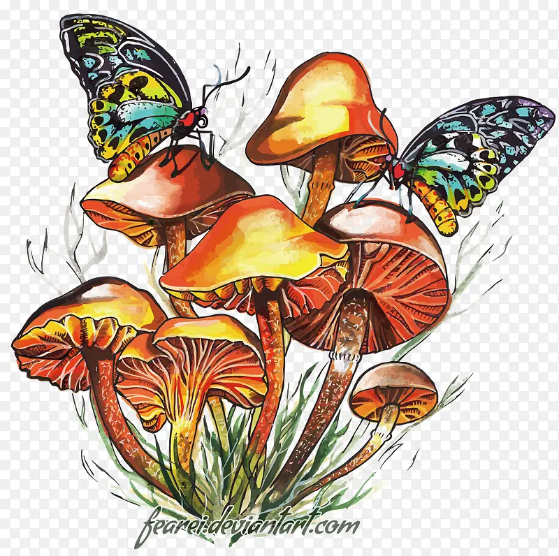 矢量蝴蝶和蘑菇